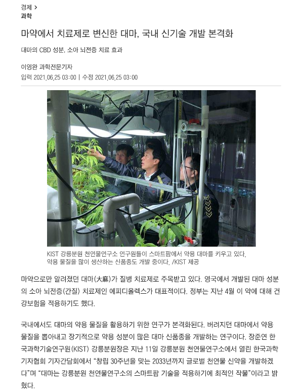 마약에서 치료제로 변신한 대마, 국내 신기술 개발 본격화 - 조선일보_1.png