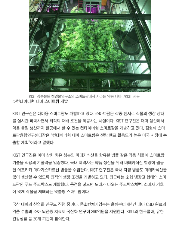 마약에서 치료제로 변신한 대마, 국내 신기술 개발 본격화 - 조선일보_3.png