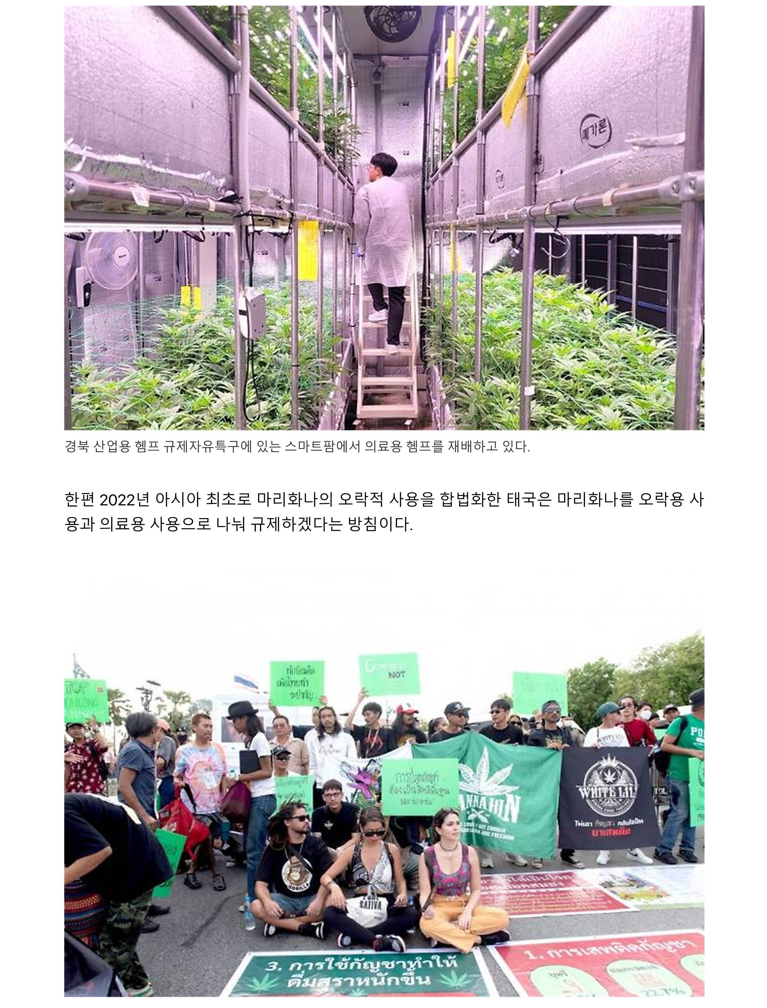 언론사뷰_6.jpg
