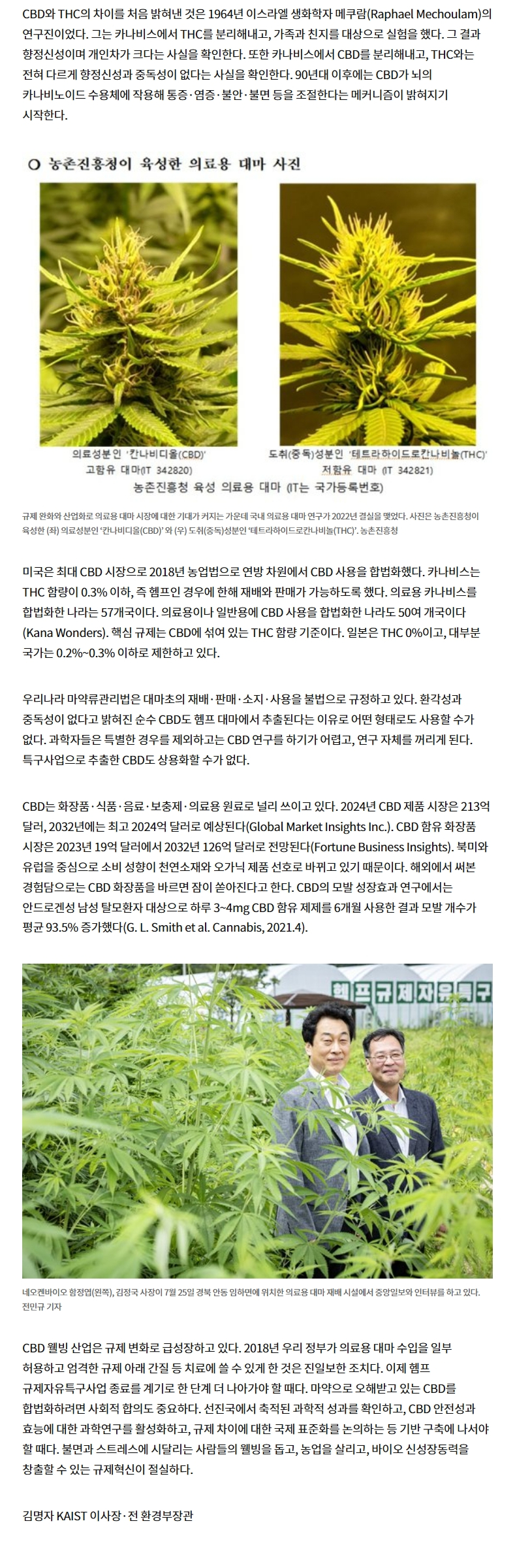 (중앙시평)헴프 대마 안동포에서 의약품 원료까지(1).PNG